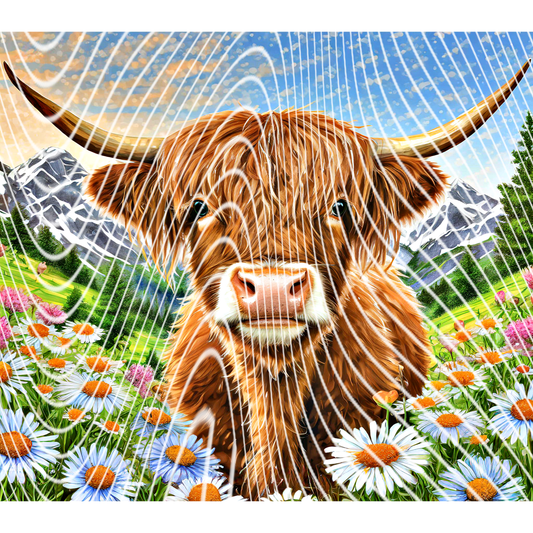 Diamond Painting Daisy Highland PRE ORDER SHIPS EARLY FEB